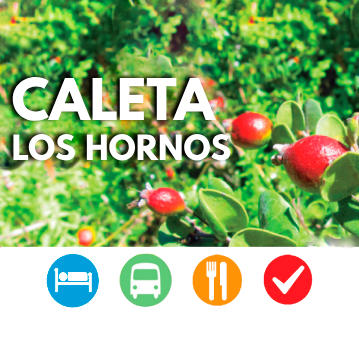 Guía de Servicios: