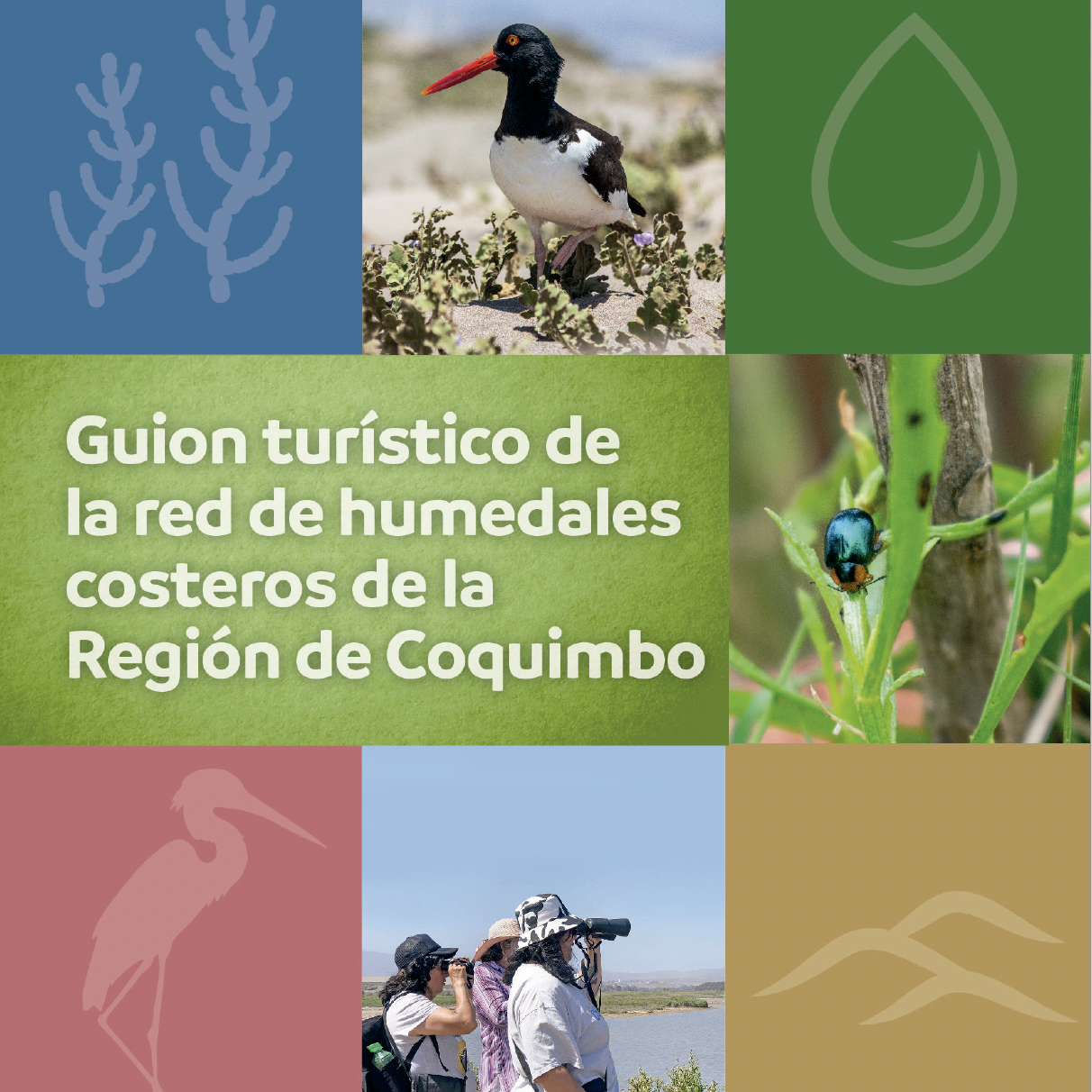 Guión Turístico humedales costeros